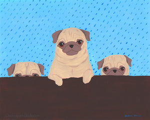 Peeking Trio - Original Pug Painting