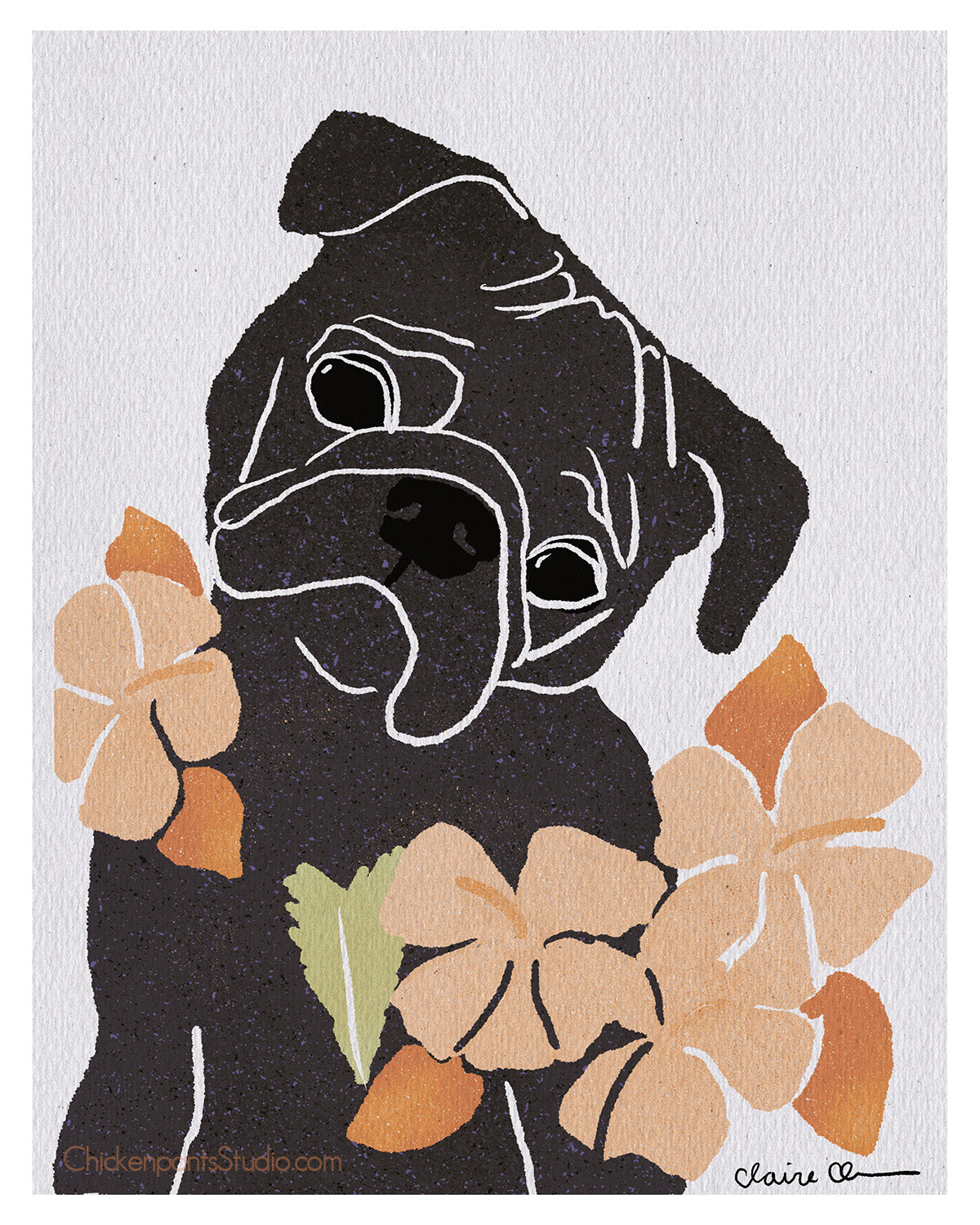 Hibiscus - Black Pug Art Print