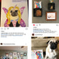 Friends and Family - Original Pug Painting